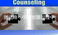 刘晓峰：中国发展过程中蕴含着民主党派的贡献
