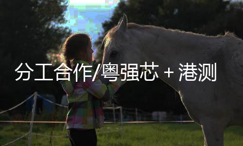 设计
、 谢来风指出