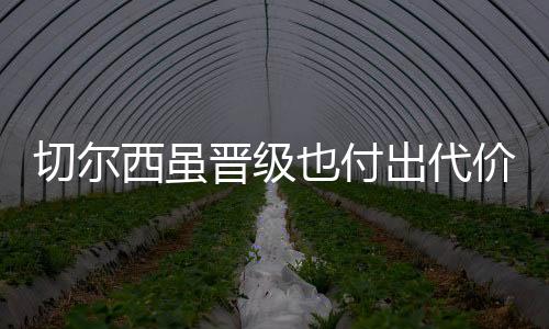 展现出极高的西虽战术价值