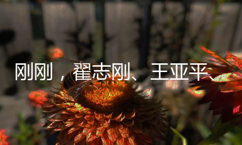 从问天阁南侧门依次走出
