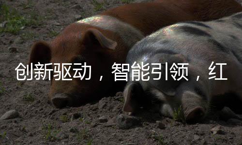 智能招商中做精做细