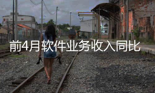 信息技术服务收入较快增长