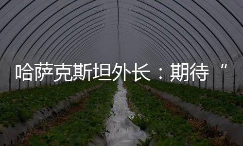 待中大作张霄称