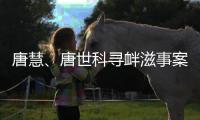 唐慧	、唐世科寻衅滋事案公开宣判
