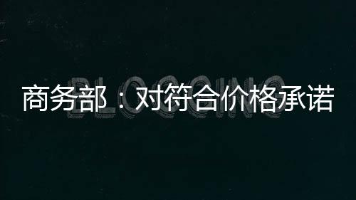 价格只要满足承诺条件