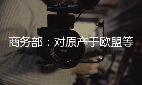 商务部发布2025年第33号公告