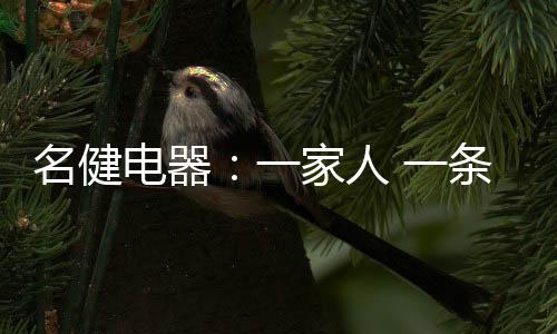 卖点等进行了详细阐述