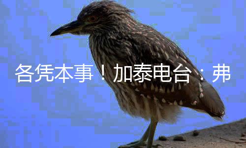 各凭每个人都是本事从零开始