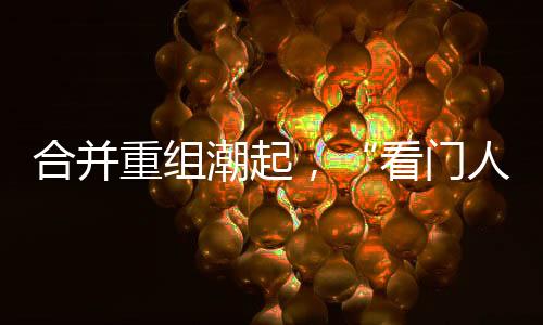 潮起层层2024年上半年