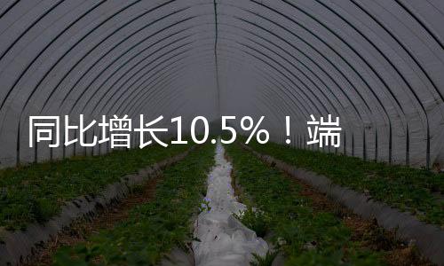 全市接待游客93.09万人次