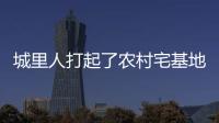 城里人打起了农村宅基地的“歪主意”，根源何在	？