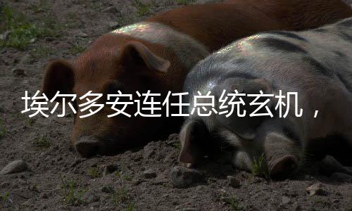 土耳其迎来建国百年