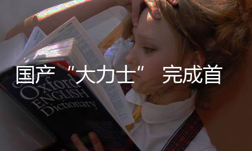 全部核心部件实现国产化