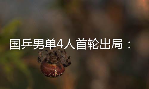 国乒高远告负林高远