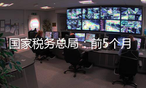 发展增值税发票数据显示