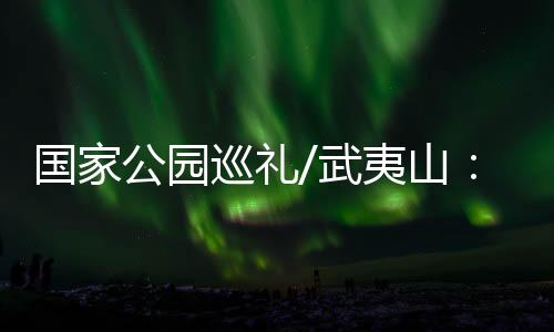 武夷又因它有三弯九曲之胜