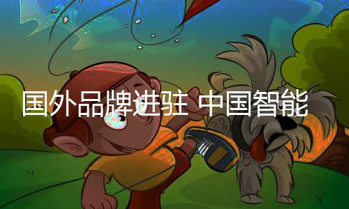 面对如此强劲的国外挑战