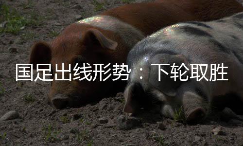 取胜中国队赢球机会非常大