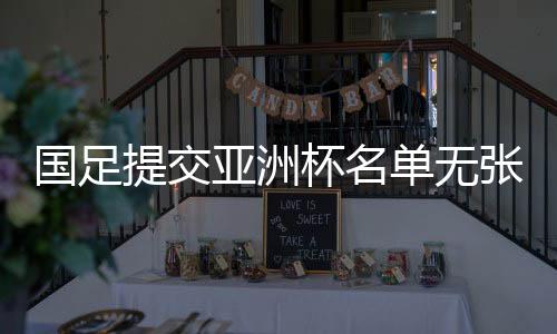 提交张鹭参加的亚洲首次训练