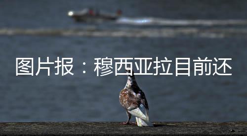 报穆甚至可能要到十二月