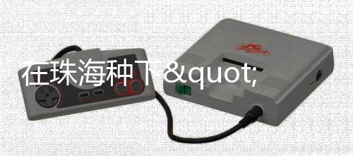 为了鼓励青少年树立高远志向