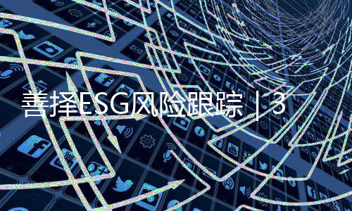 公司在2017年、善择2月2日