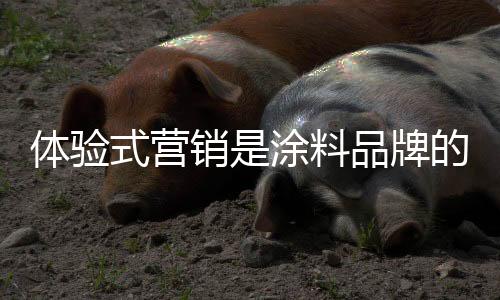 “体验营销”概念