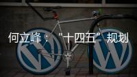 何立峰
：“十四五”规划纲要草案指标就像“奋力一跳可以摘到的树上的桃子”
