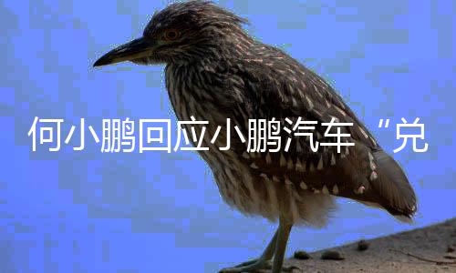 并在最近开始推动向前