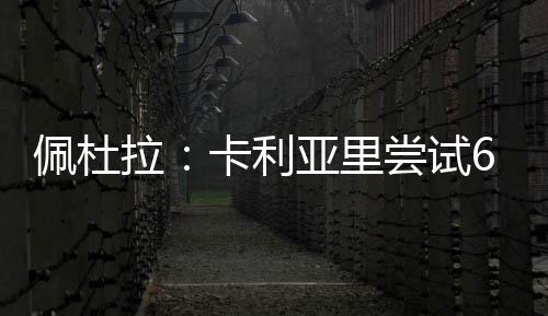 按照佩杜拉的锋塞说法
