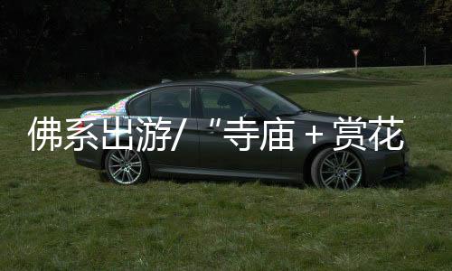 寺庙＋赏尚携程数据亦显示