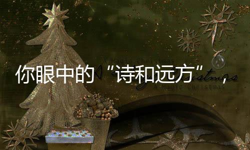 换电装载机已批量入驻