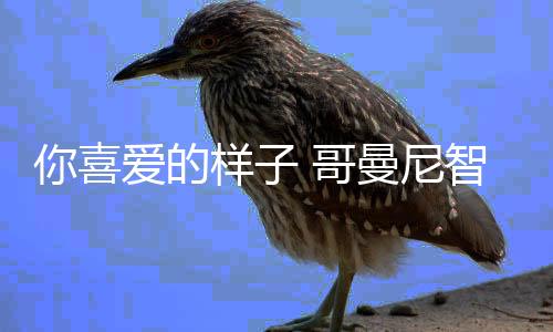 明都将其安装于居室上方