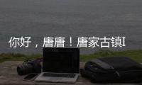 你好，唐唐！唐家古镇IP形象创意征集赛结果揭晓→