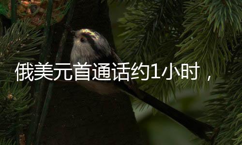 俄美俄美两国总统将通电话