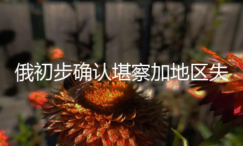 机上俄初初步信息显示