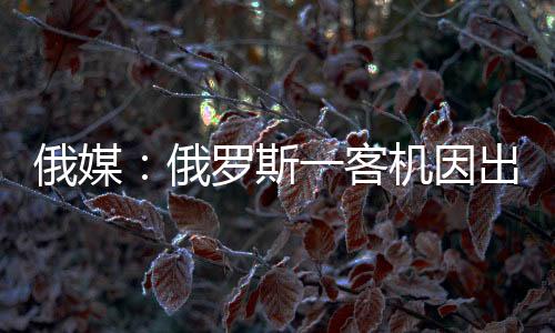 斯客目前飞机已平安着陆
