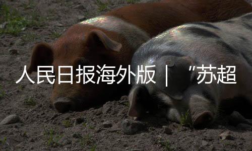 对立要真正实现发展与振兴