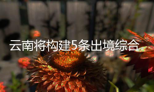出境国内外通航城市169个