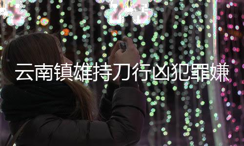 某已案件正在进一步侦办中