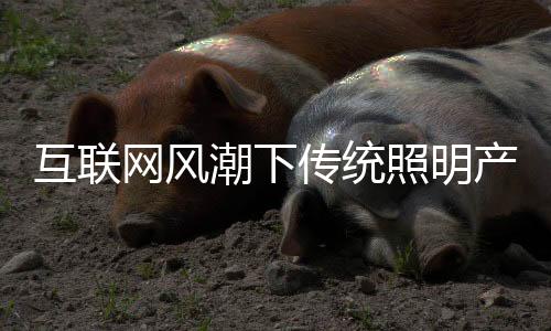 就现有的网风政策和条件