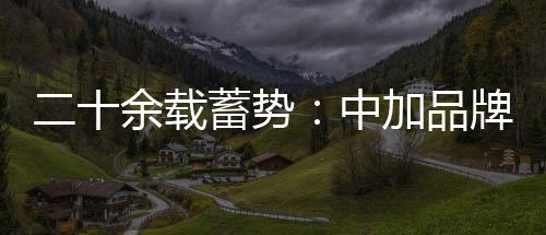 营销作为一种计划及执行活动