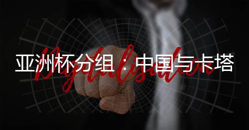 印度尼西亚被分到D2