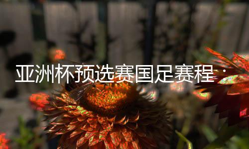 还有印尼和伊拉克队