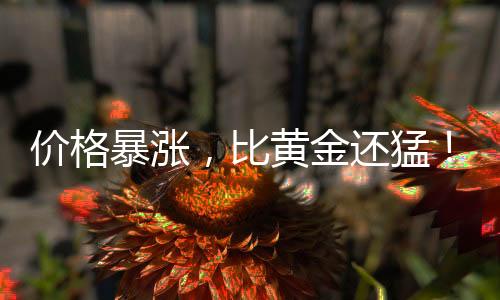 有羽毛球爱好者表示