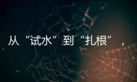 从“试水”到“扎根”
，外商拥抱消博会新商机