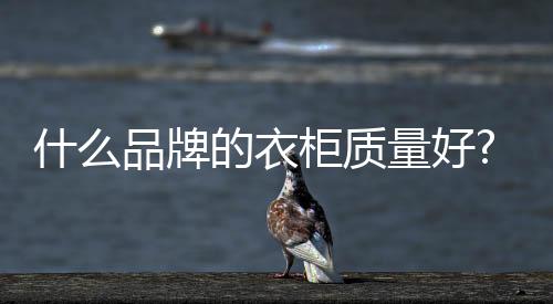 什品板式家具十大品牌”
