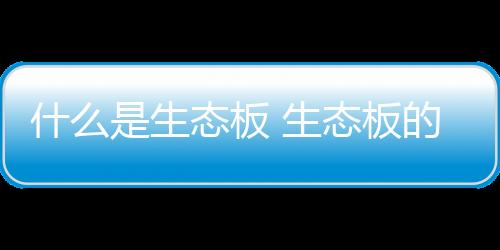 刨花板还是什生生态生态板