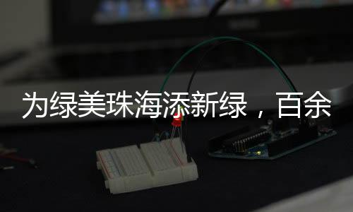 青年淇澳137棵血桐迎风挺立
