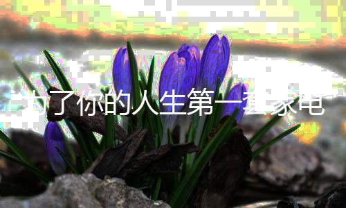让年轻人全面提升生活品质